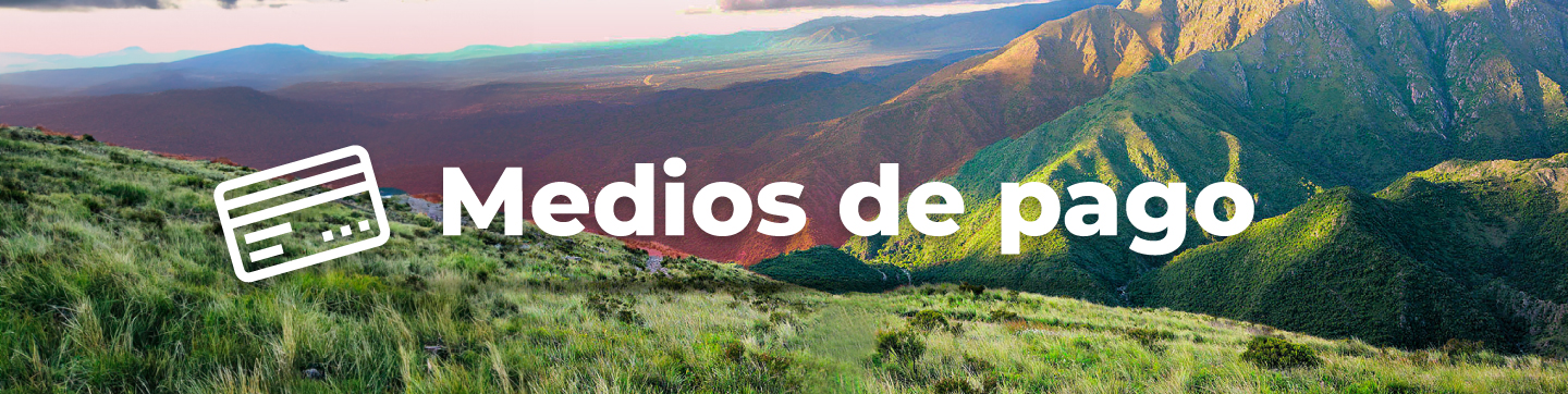 Descripción imagen móvil